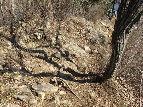 20160128hike (183)